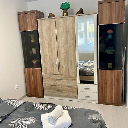 Apartament Irina Braşov Extérieur photo