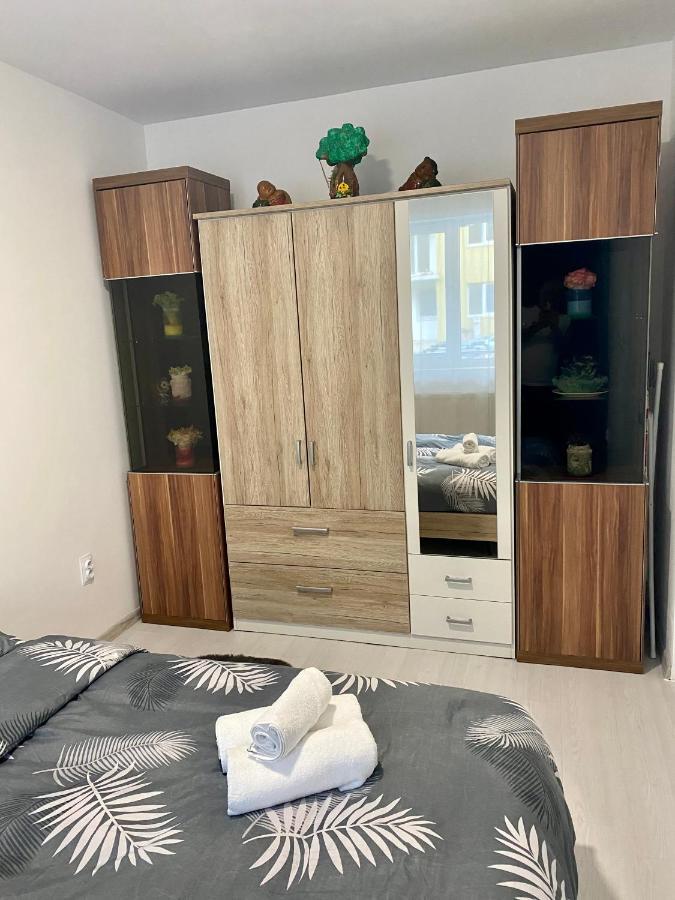 Apartament Irina Braşov Extérieur photo