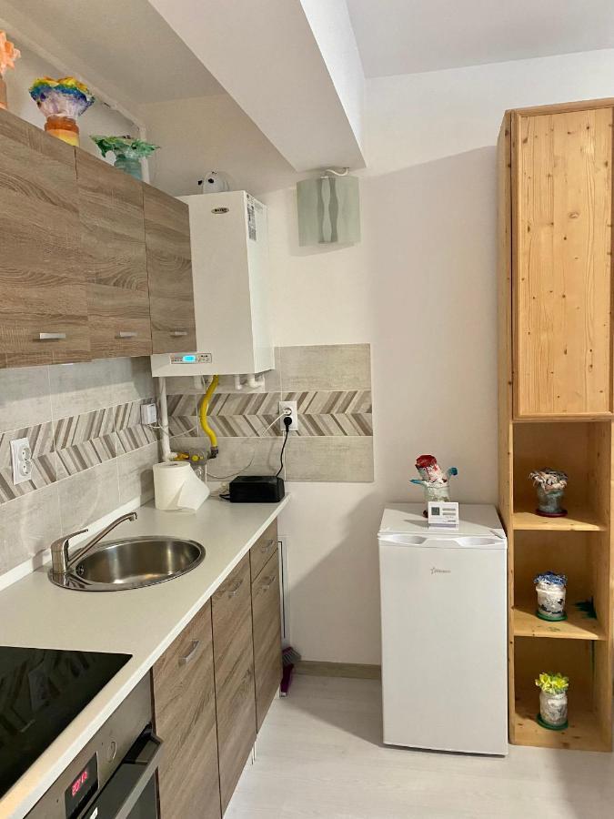 Apartament Irina Braşov Extérieur photo