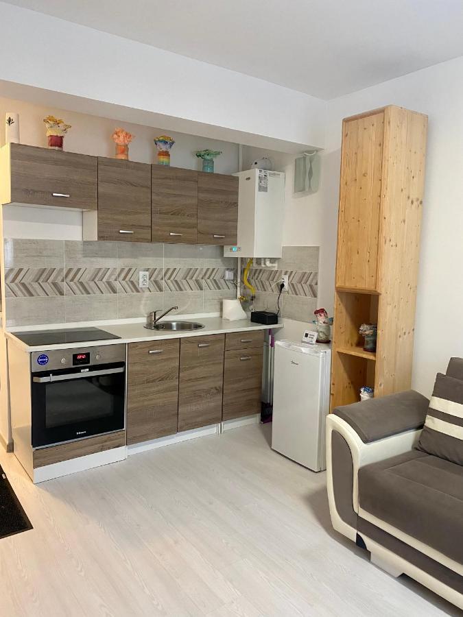Apartament Irina Braşov Extérieur photo